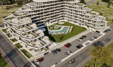 Apartment - New Build - San Miguel de Salinas -
                Pueblo