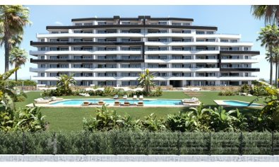 Apartment - New Build - San Miguel de Salinas -
                San Miguel de Salinas