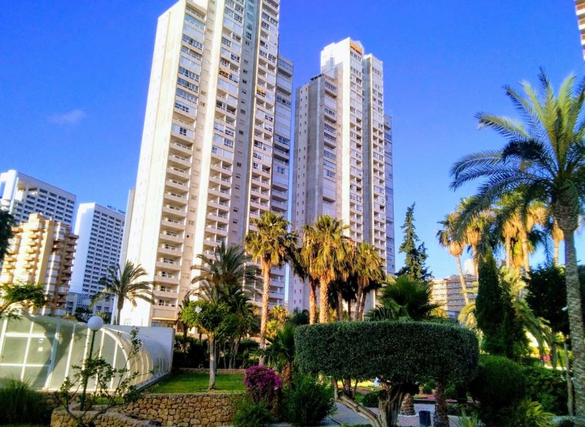 Apartment - Resale -
            Benidorm - MM-71650