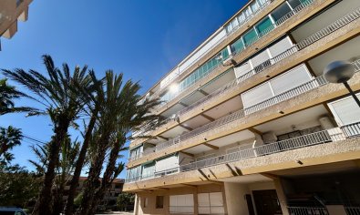 Apartment - Resale - Guardamar del Segura -
                Guardamar Del Segura