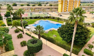 Apartment - Resale - Guardamar del Segura -
                Guardamar del Segura