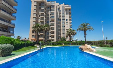 Apartment - Resale - Guardamar del Segura -
                Puerto Deportivo