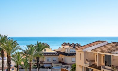 Apartment - Resale - Guardamar del Segura -
                Urbanizaciones