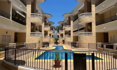 Apartment - Resale - Jacarilla -
                Jacarilla