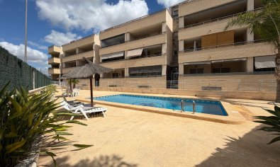 Apartment - Resale - Jacarilla -
                Jacarilla