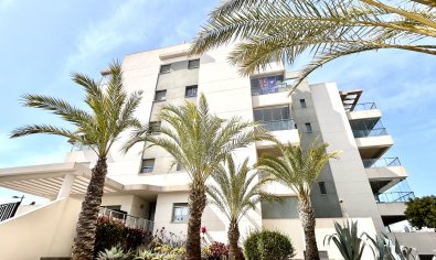 Apartment - Resale - Orihuela Costa -
                Los Dolses