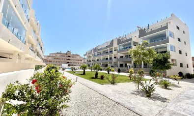 Apartment - Resale - Orihuela Costa -
                Los Dolses