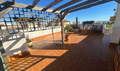 Apartment - Resale - Orihuela -
                Entre Naranjos Vistabella