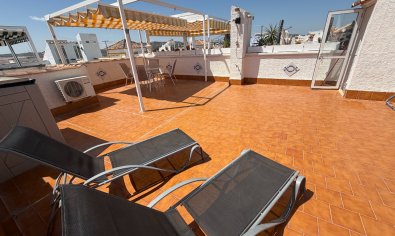 Apartment - Resale - Orihuela -
                Entre Naranjos Vistabella