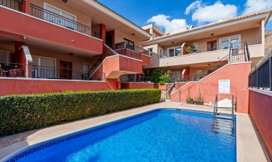 Apartment - Resale - Orihuela -
                Orihuela