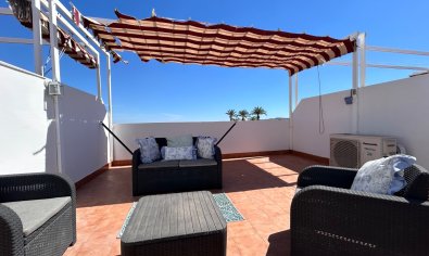 Apartment - Resale - Orihuela -
                Torremendo