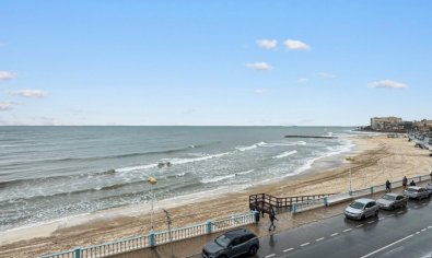 Apartment - Resale - Torrevieja -
                Playa de los Locos