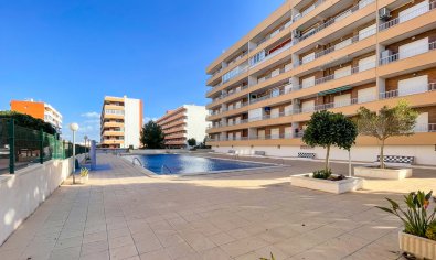 Apartment - Resale - Torrevieja -
                Punta Prima