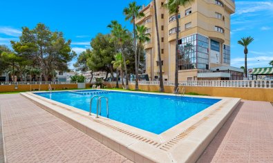 Apartment - Resale - Torrevieja -
                Punta Prima
