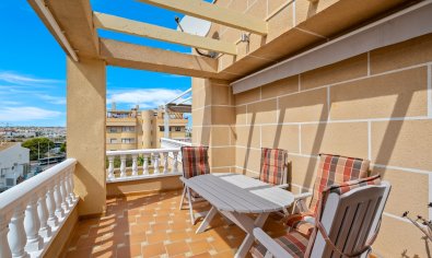 Apartment - Resale - Torrevieja -
                Punta Prima