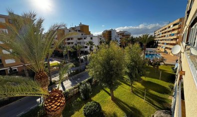 Apartment - Resale - Torrevieja - Punta Prima