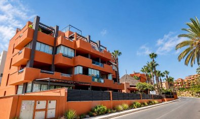 Apartment - Resale - Villamartín -
                Villamartin