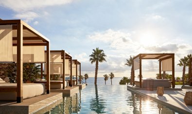 Appartement - Begane grond - Nieuwbouw Woningen - Macenas -
                Macenas