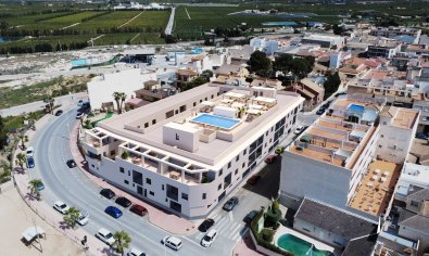 Appartement - Begane grond - Nieuwbouw Woningen - San Miguel de Salinas -
                San Miguel de Salinas