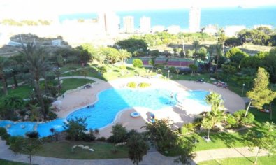 Appartement - Bestaande bouw - Benidorm - Poniente