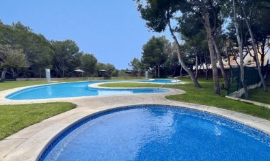 Appartement - Bestaande bouw - Cabo Roig -
                Cabo Roig