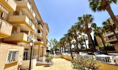 Appartement - Bestaande bouw - Cabo Roig -
                Cabo Roig