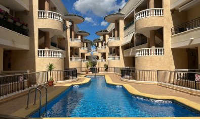 Appartement - Bestaande bouw - Jacarilla -
                Jacarilla