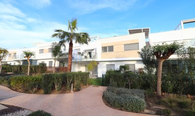 Appartement - Bestaande bouw - Los Montesinos -
                Entre Naranjos / Vistabella Golf