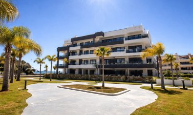 Appartement - Bestaande bouw - Orihuela Costa -
                Playa Flamenca