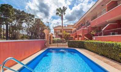 Appartement - Bestaande bouw - Orihuela -
                Orihuela