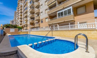 Appartement - Bestaande bouw - Torrevieja -
                Centro