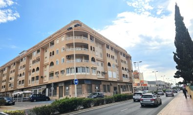 Appartement - Bestaande bouw - Torrevieja -
                El molino