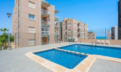 Appartement - Bestaande bouw - Torrevieja -
                La Mata