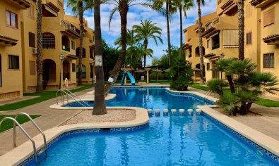 Appartement - Bestaande bouw - Torrevieja -
                La Mata