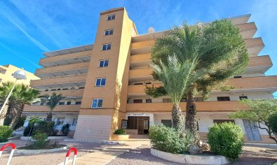 Appartement - Bestaande bouw - Torrevieja -
                La Mata