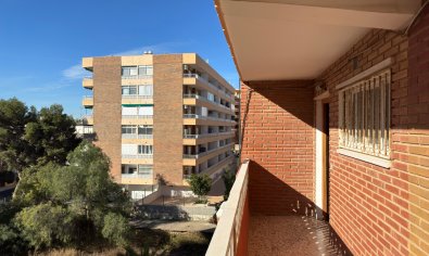 Appartement - Bestaande bouw - Torrevieja -
                Punta Prima