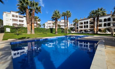 Appartement - Bestaande bouw - Villamartin -
                Villamartin