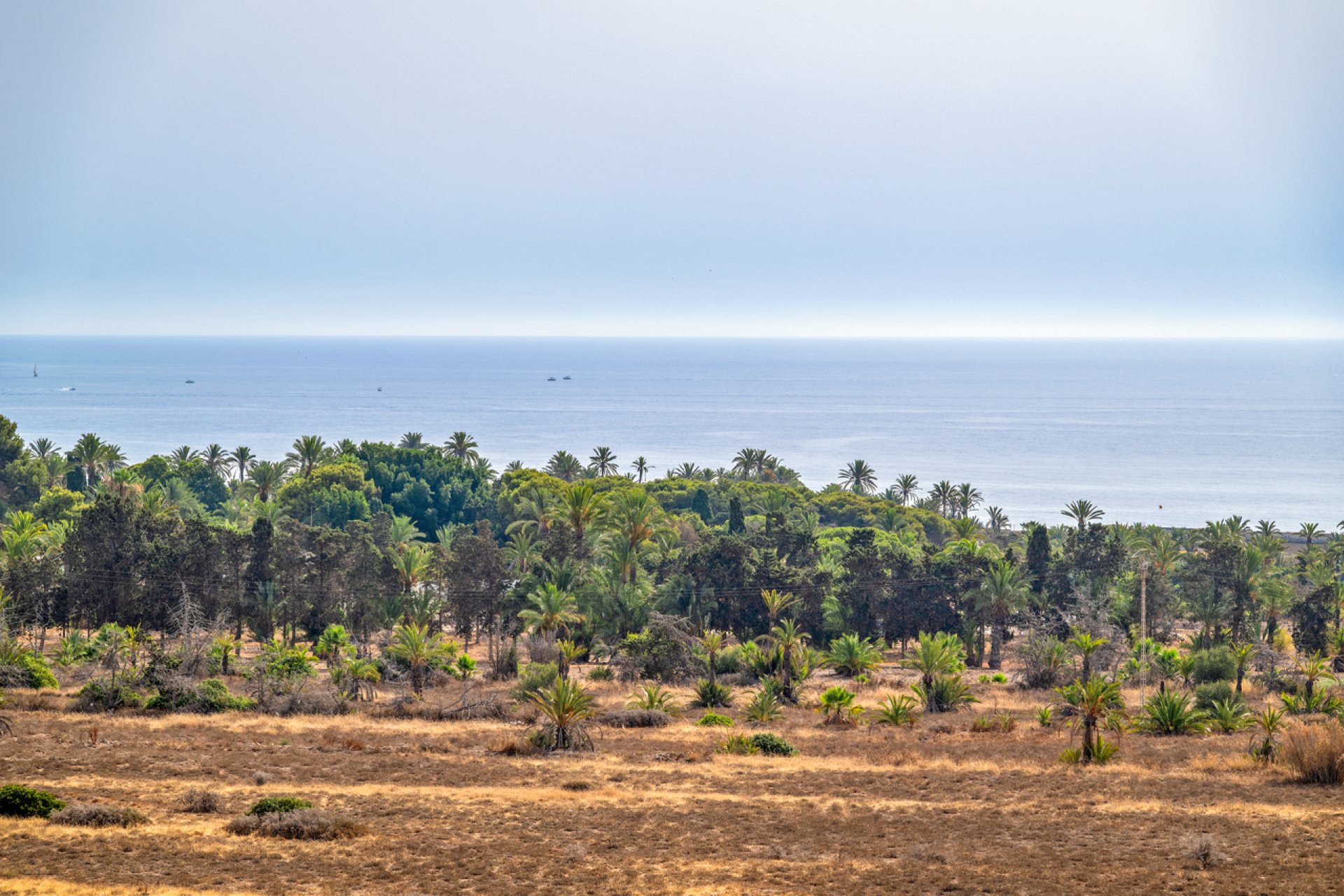 Ático en Punta Prima con vistas al mar