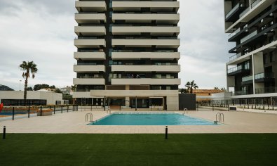 Ático - Obra nueva - Calpe -
                Calpe