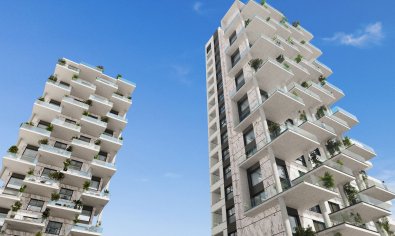 Ático - Obra nueva - Calpe -
                Calpe