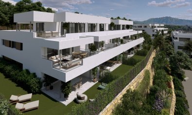 Ático - Obra nueva - Casares -
                Casares