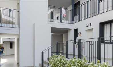 Ático - Obra nueva - Estepona - Estepona