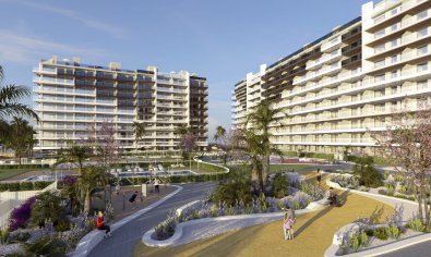 Ático - Obra nueva - Torrevieja -
                Punta Prima
