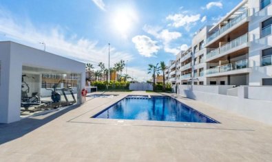 Ático - Obra nueva - Torrevieja - Torrevieja