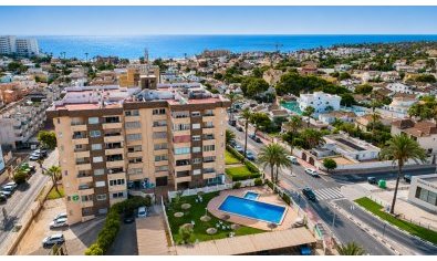 Ático - Reventa - Orihuela Costa -
                La Zenia