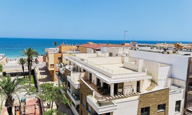 Ático - Reventa - Torre de la Horadada -
                Torre de la Horadada