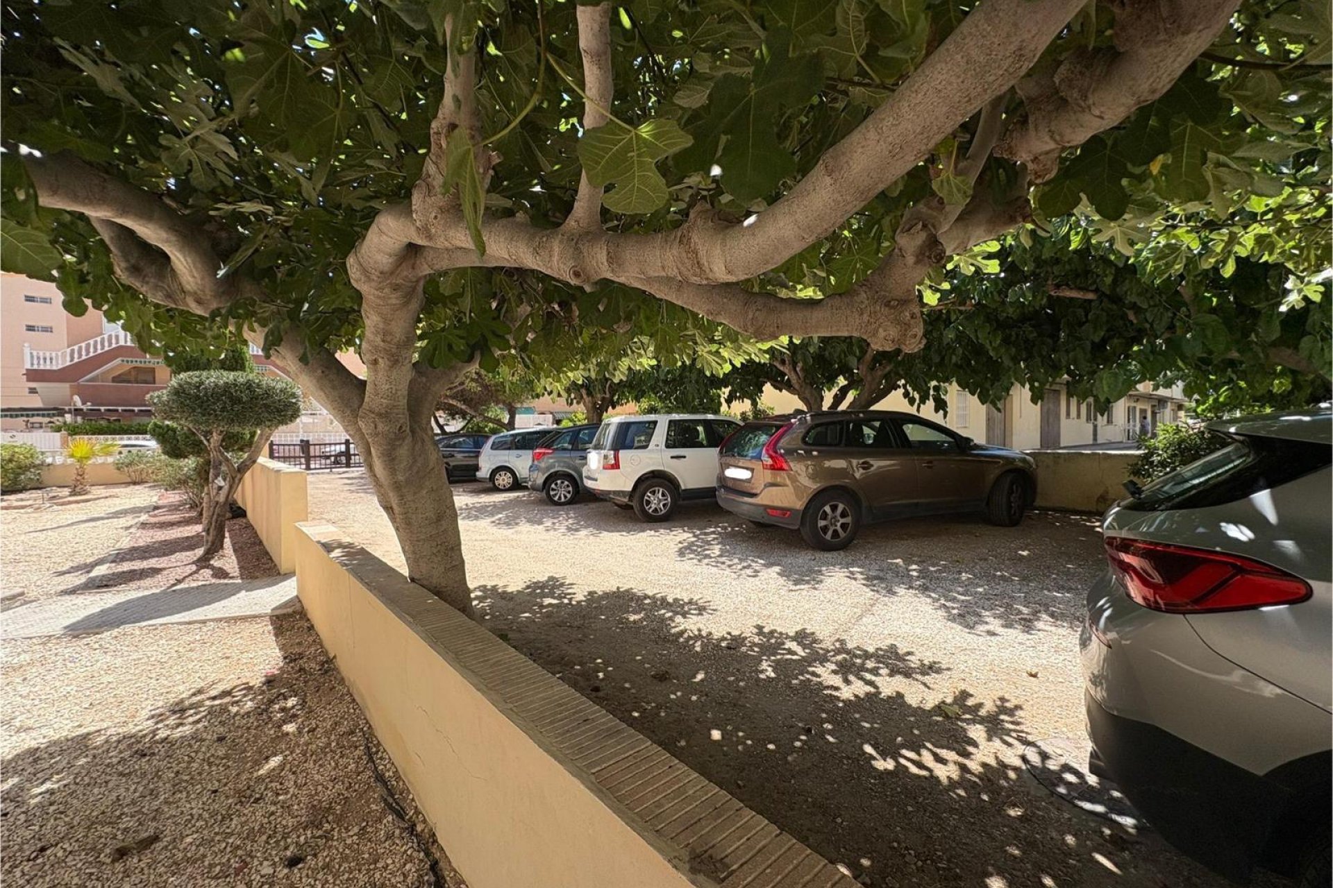 Bestaande bouw - Apartamento -
Torrevieja - La Mata