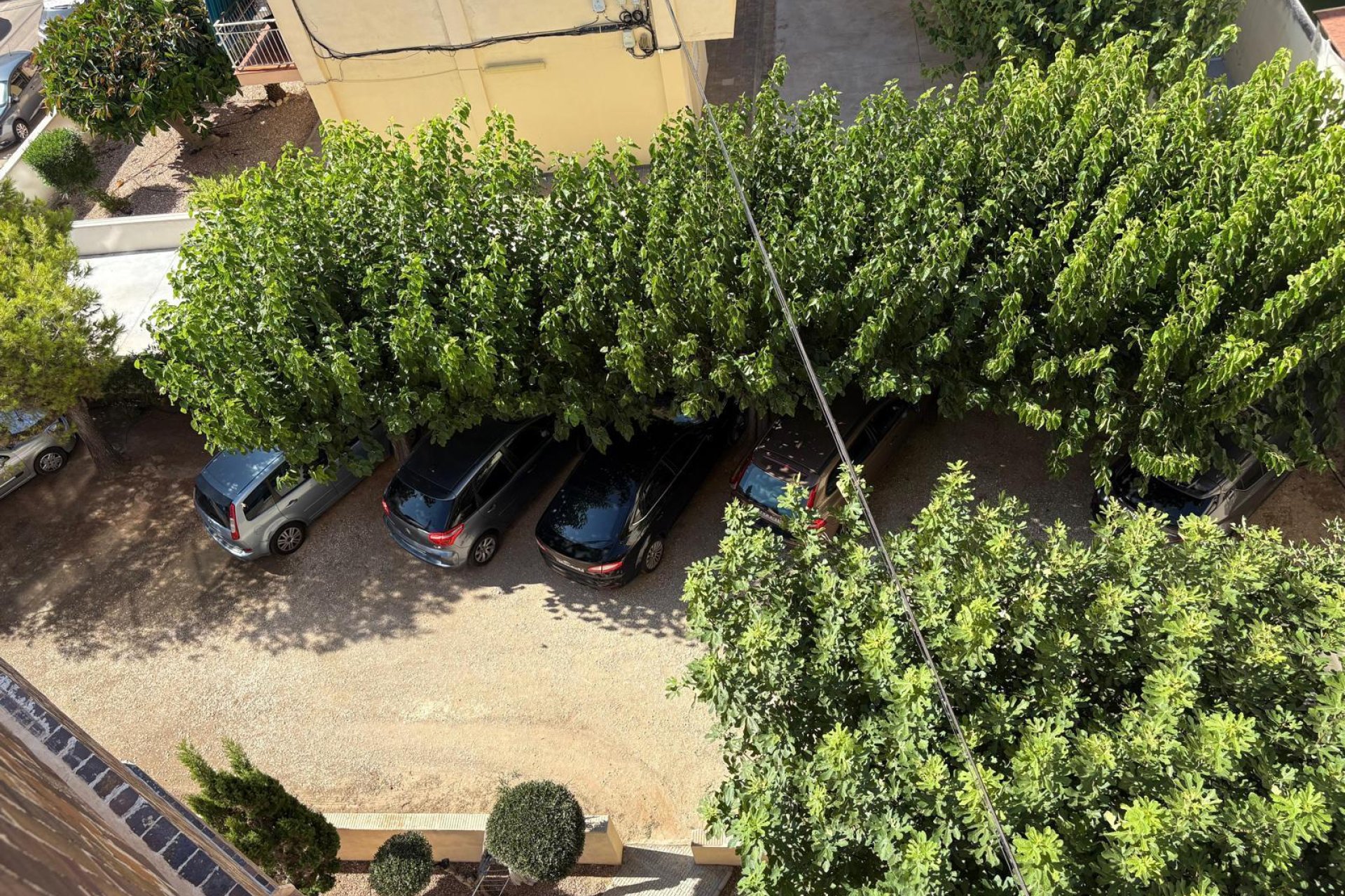 Bestaande bouw - Apartamento -
Torrevieja - La Mata