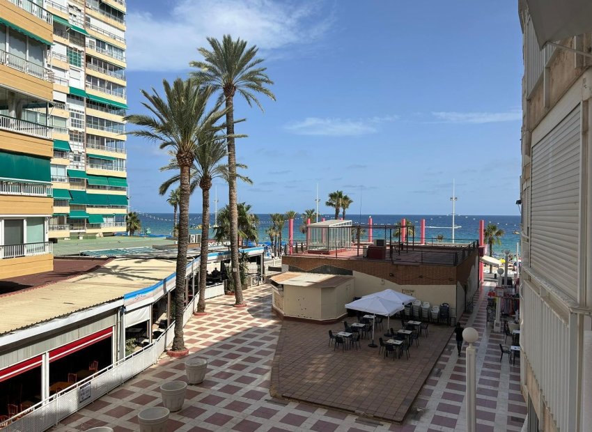 Bestaande bouw - Appartement -
Benidorm - Levante