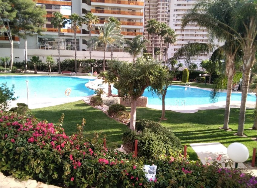 Bestaande bouw - Appartement -
Benidorm - Rincón de Loix